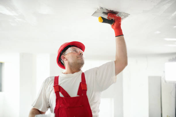 Best Ceiling Drywall Installation  in Clarksville, TN