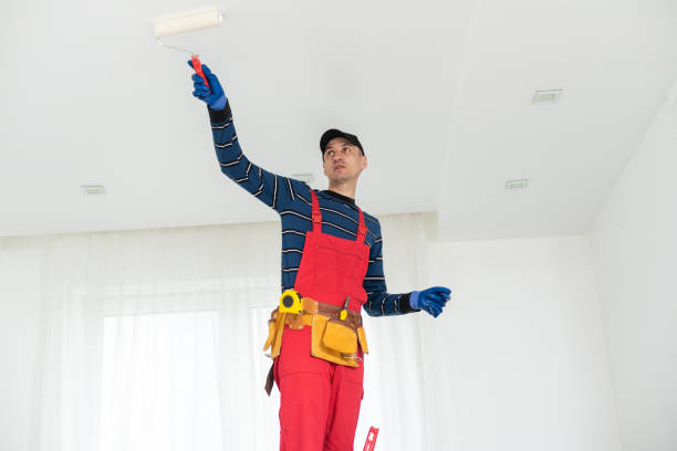 Best Drywall Removal and Disposal  in Clarksville, TN